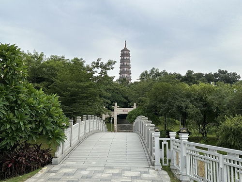 琶洲塔公園門(mén)票與游玩攻略｜自助出游最佳指南