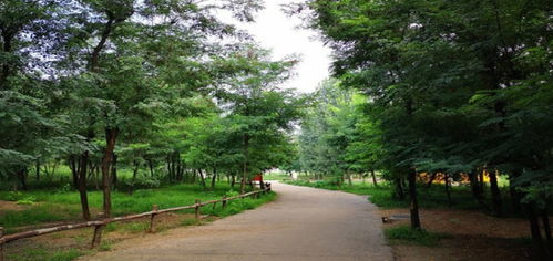 鹿島森林公園門(mén)票預(yù)訂與代理指南