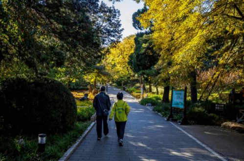 紅葉季來了｜這26個觀賞點位超美，帶上門票攻略即刻出發